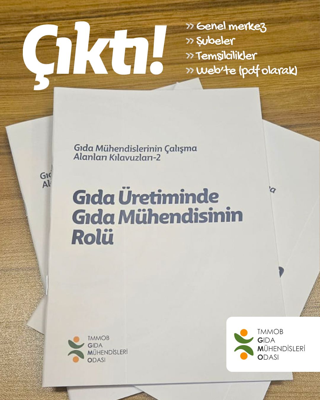 GIDA ÜRETİMİNDE GIDA MÜHENDİSİNİN ROLÜ 14.05.2025