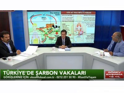 ULUSAL KANALTÜRKİYE`DE ŞARBON VE YAŞANANLARŞUBE BAŞKANIMIZ ZAFER ŞENYURT CANLI YAYIN