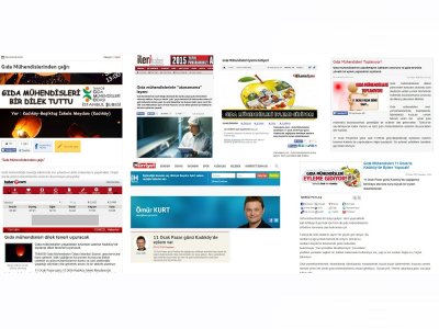 11 OCAK 2015 PAZAR GÜNÜ GERÇEKLEŞTİRİLECEK DİLEK FENERİ EYLEMİNİN BASINDAKİ YANSIMALARI