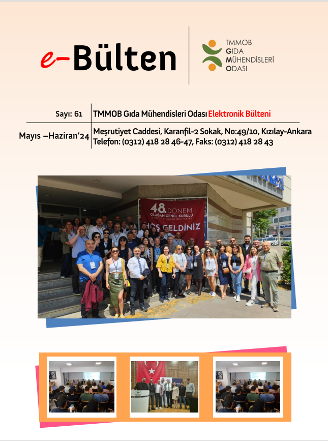 e-BÜLTEN 61. SAYI - MAYIS - HAZİRAN 2024