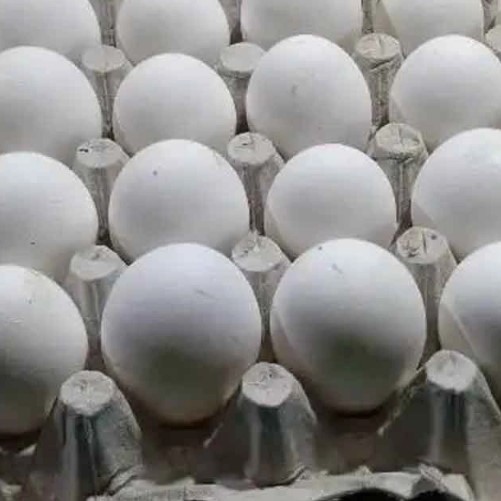 YUMURTADA KANSEROJEN MADDE KULLANIMI TESPİTİ: BASINA YANSIYANLAR