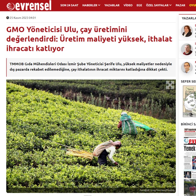EVRENSEL: "GMO YÖNETİCİSİ ULU, ÇAY ÜRETİMİNİ DEĞERLENDİRDİ: ÜRETİM MALİYETİ YÜKSEK, İTHALAT İHRACATI KATLIYOR"