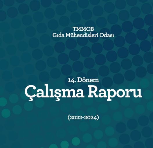 14. DÖNEM ÇALIŞMA RAPORU