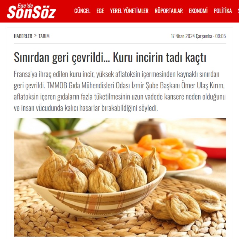 EGE'DE SONSÖZ: "SINIRDAN GERİ ÇEVRİLDİ... KURU İNCİRİN TADI KAÇTI"
