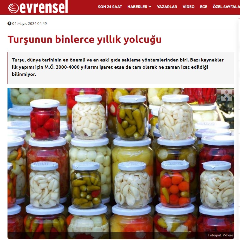 EVRENSEL: TURŞUNUN BİNLERCE YILLIK YOLCULUĞU