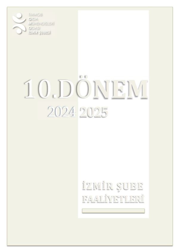 10. DÖNEM ÇALIŞMA RAPORU