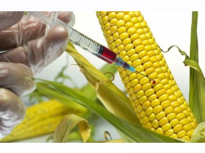 GIDABİLGİCOM: NİŞASTA BAZLI ŞEKERE DİKKAT