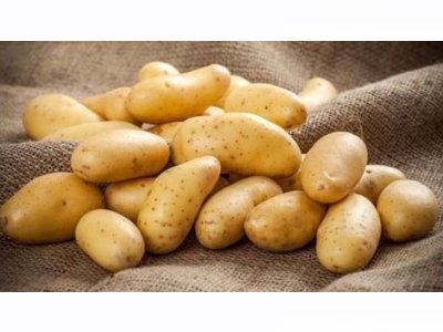 HÜRRİYET GAZETESİ: PATATES İTHAL EDİLMESİYLE İLGİLİ CİDDİ TEREDDÜTLERİMİZ VAR