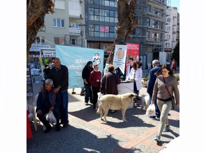 TEMİZ VE GÜVENLİ SUYA ULAŞMAK İNSAN HAKKIDIR