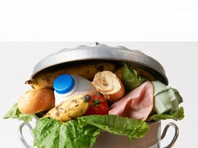 GIDA HATTI: GIDA KAYIP VE ARTIKLARI