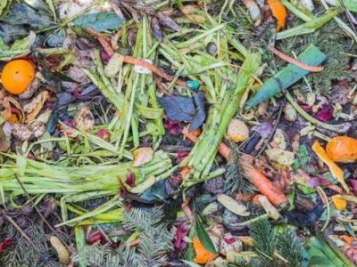 YAŞAM İÇİN GIDA: GIDA KAYIP VE ATIKLARI