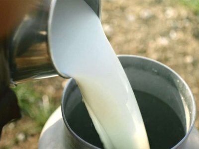 TELE 1: "SÜTTE HAMMADDE BAKIMINDAN DIŞA BAĞIMLIYIZ"