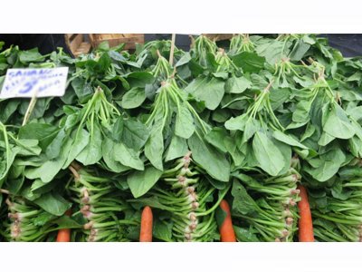 T24: ISPANAK NEDEN ZEHİRLER NASIL TÜKETİLMELİ