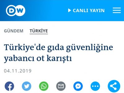 DW DEUTCHE WELLEGIDA GÜVENLİĞİNE YABANCI OT KARIŞTIŞUBE BAŞKANI ZAFER ŞENYURT