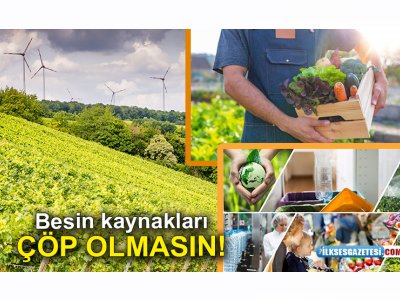 İLK SES GAZETESİ: BESİN KAYNAKLARI ÇÖP OLMASIN