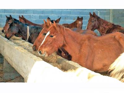 YENİGÜN: BU İŞ ÇOK SAKAT`AT