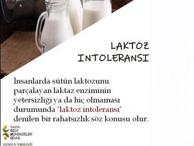 LAKTOZ İNTOLERANSI NEDİR