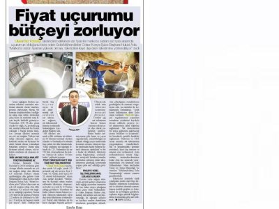 FİYAT UÇURUMU BÜTÇEYİ ZOLUYOR31 MAYIS 2020