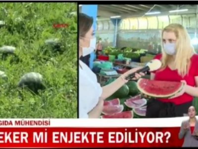 KANALD ANA HABERKARPUZA ŞEKER ENJEKTESİEBRU KAYIRAN RÖPORTAJ