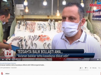 MİLLİYET YOUTUBE: AVLANAN BALIKLAR TAHTA KASADAYSA DİKKAT EDİN MİKROORGANİZMALAR