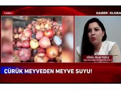 HABER GLOBALÇÜRÜK MEYVELERDEN MEYVE SUYUGÖNÜL SİLAV TUZLU RÖPOTAJ