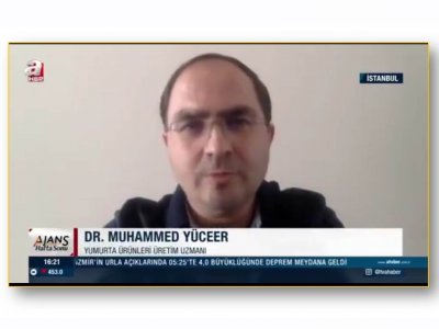 A HABER  ORGANİK YUMURTA NASIL OLMALI DR MUHAMMED YÜCCER RÖPORTAJ