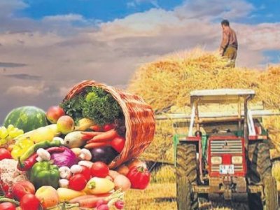 EGELİ GAZETE: İYİ TARIM UYGULAMALARI CİDDİYETLE ELE ALINMAZSA GIDA GÜVENCESİ VE EGEMENLİK SAĞLANAMAZ