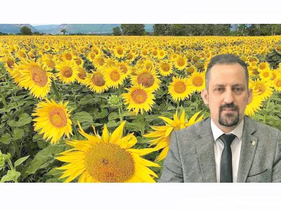 YENİ GÜN: GÜMRÜK VERGİLERİNİ SIFIRLAMAK ÇÖZÜM DEĞİL