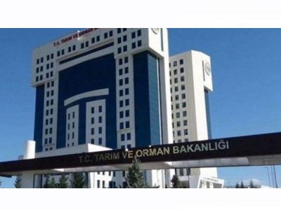 T24: "TMMOB GIDA MÜHENDİSLERİ ODASI`NDAN TARIM VE ORMAN BAKANLIĞI`NA: YETKİLENDİRİLMİŞ GIDA DANIŞMANLIĞI SİSTEMİ BİR AN EVVEL YÜRÜRLÜĞE KOYULMALI"