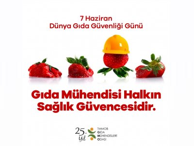 DÜNYA GIDA GÜVENLİĞİ GÜNÜ GIDA MÜHENDİSİ HALKIN SAĞLIK GÜVENCESİDİR BASIN AÇIKLAMASI