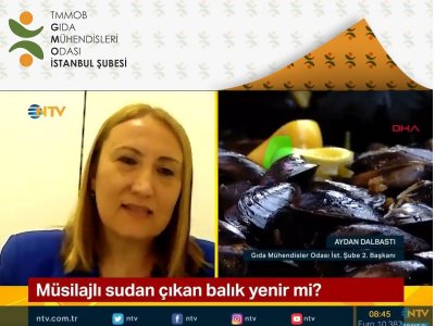 NTV HABERMARMARA BÖLGESİNDE MÜSİLAJDAN ETKİLENEN DENİZ ÜRÜNLERİNDE GIDA GÜVENLİĞİAYDAN DALBASTI RÖPORTAJ