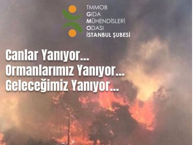 VATANIN DÖRT BİR YANINDA ÇIKAN YANGINLAR YÜREĞİMİZİ DAĞLADI