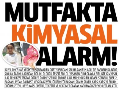 MİLLİ GAZETESEBZE VE MEYVELERDE ZİRAİ İLAÇ KALINTILARI VE GİDERİLMESİAYDAN DALBASTI RÖPORTAJ