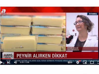 A HABERERİTME PEYNİRAYSUN SAĞLAM RÖPORTAJ