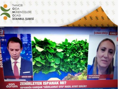 A HABERISPANAK ZEHİRLENMESİ VAKALARIAYDAN DALBASTI RÖPORTAJ