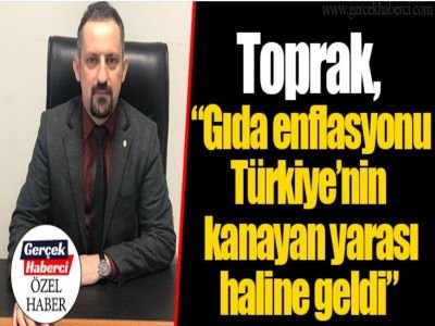 GERÇEK HABERCİ: GIDA ENFLASYONU TÜRKİYE`NİN KANAYAN YARASI HALİNE GELDİ