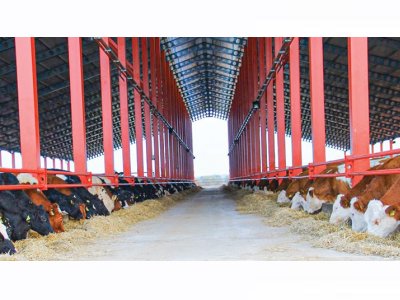 BİRGÜN EGE: SÜT ÜRETİCİLERİ İÇİN ALARM