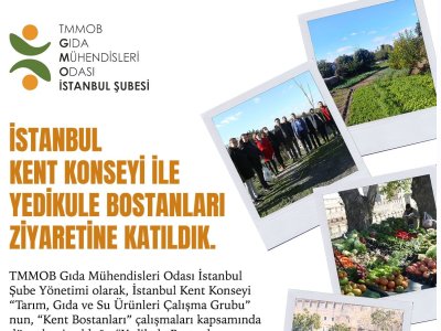 İSTANBUL KENT KONSEYİ İLE YEDİKULE BOSTANLARI ZİYARETİNE KATILDIK