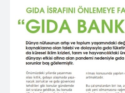 FOOD TİMEGIDA BANKACILIĞIVOLKAN SEVİNÇ MAKALE