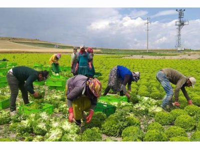 EGE TELGRAF: İTHALATTAN KURTULURSAK CEBİMİZE DE YANSIR"