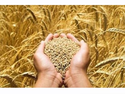 CUMHURİYET: GIDA MÜHENDİSLERİ ODASI`NDAN `RUSYAUKRAYNA KRİZİ` UYARISI: FİYAT ARTIŞI OLARAK GERİ DÖNECEK