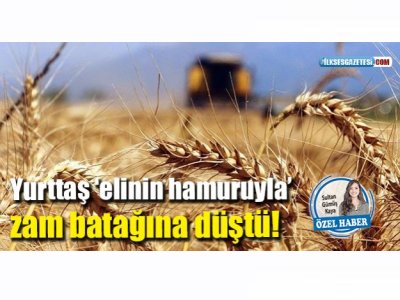 İLKSES: YURTTAŞ ELİNİN HAMURUYLA ZAM BATAĞINA DÜŞTÜ