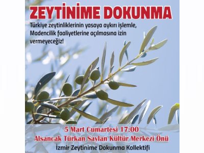 ZEYTİNİME DOKUNMA