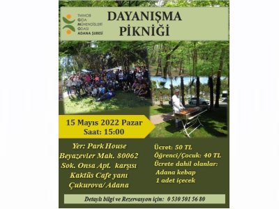 DAYANIŞMA PİKNİĞİ