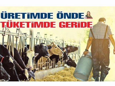 YENİGÜN: ÜRETİMDE ÖNDE TÜKETİMDE GERİDE