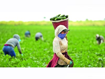 YENİGÜN: PANORAMA: 3E; EĞİTİM ESNAF ENFLASYON