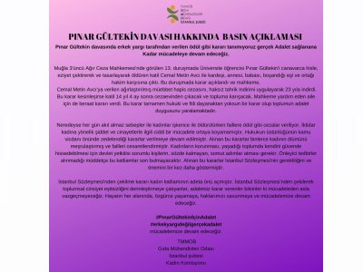 PINAR GÜLTEKİN KARAR DAVASI HAKKINDA BASIN AÇIKLAMASI