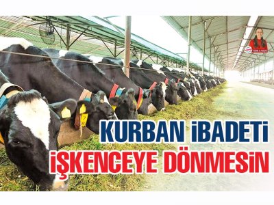 YENİGÜN: KURBAN İBADETİ İŞKENCEYE DÖNMESİN