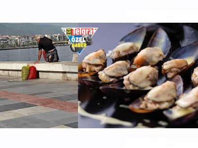 EGE TELGRAF: GÜZELİM KÖRFEZİMİZ KAÇAK MİDYE CENNETİ
