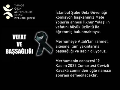 VEFAT VE BAŞSAĞLIĞIMETE YOLAŞ`IN ANNESİİLKNUR YOLAŞ